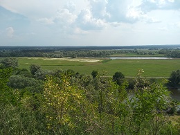 Zdjęcie panoramy- trawa i niebo