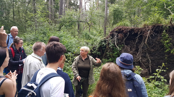 Die Wurzeln eines umgestürzten Baumes im Nationalpark Vorpommersche Boddenlandschaft Foto: Dr. Dawid Dawidowicz