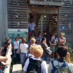 Unter dem Aussichtsturm Foto: Dr. Dawid Dawidowicz