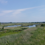 Die Sicht vom Aussichtsturm Foto: Dr. Dawid Dawidowicz