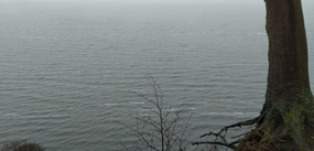 Die landseitige Ansicht der Ostsee. Foto: Dr. Wojciech Zbaraszewski