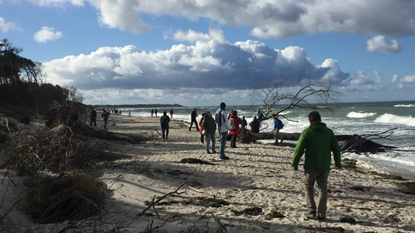 Brzeg Morza Bałtyckiego, powalone drzewa podmyte przez morze, ludzie oglądający wystające z piasku konary drzew, ciężkie chmury nad morzem.